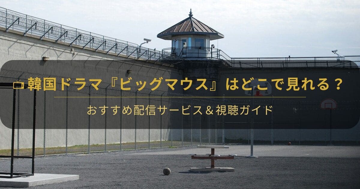 韓国ドラマ『ビッグマウス』はどこで見れる？配信先比較と視聴ガイド