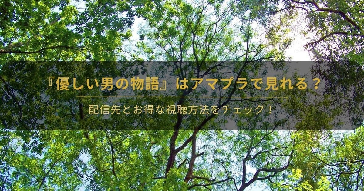 韓国ドラマ『優しい男の物語』はアマプラで見れる？と書かれたアイキャッチ画像