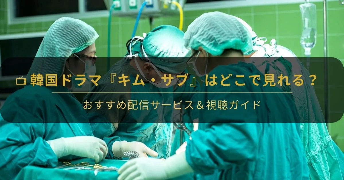 韓国ドラマ『浪漫ドクター キム・サブ』はどこで見れる？配信先比較と視聴ガイド